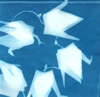 sunprint image of paper cranes